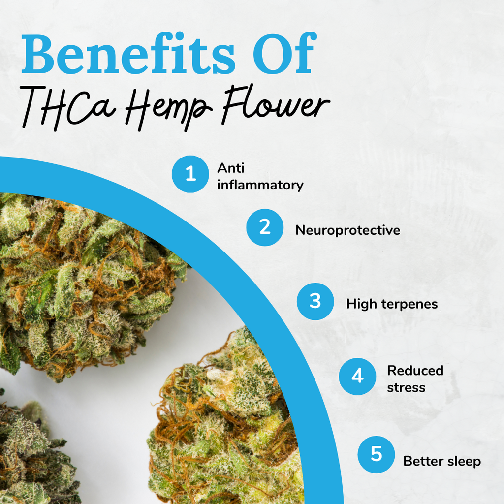 Crafting Superiority: Unveiling Premium Quality THCA Flowers