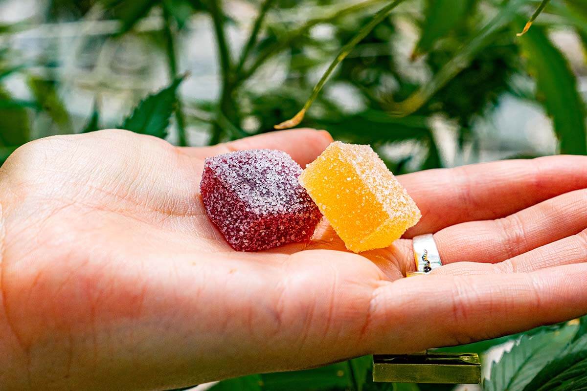 Are THC Gummies Right for You? Considerations Before Trying