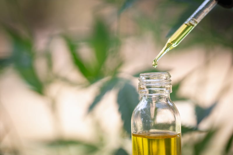 Exploring the Legal Landscape of CBD Oil What You Need to Know