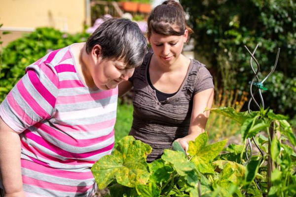 Understanding the Role of a Childcare Provider in Early Development